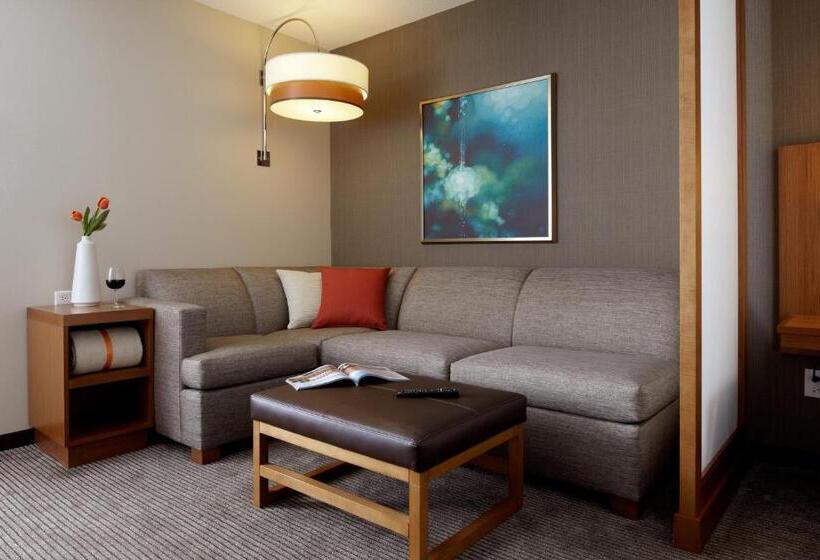 带2个双人床的标准工作室, Hyatt Place Lincoln/downtown Haymarket