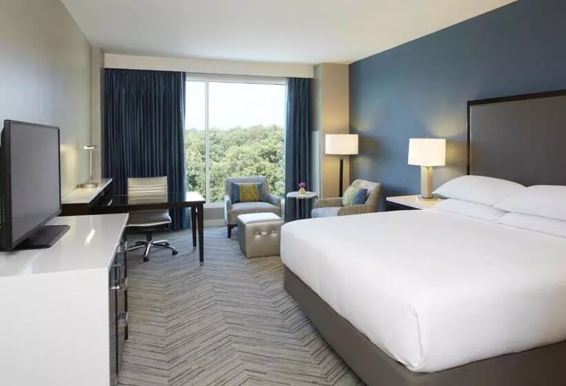 デラックススイート, Hyatt Regency Atlanta Perimeter At Villa Christina