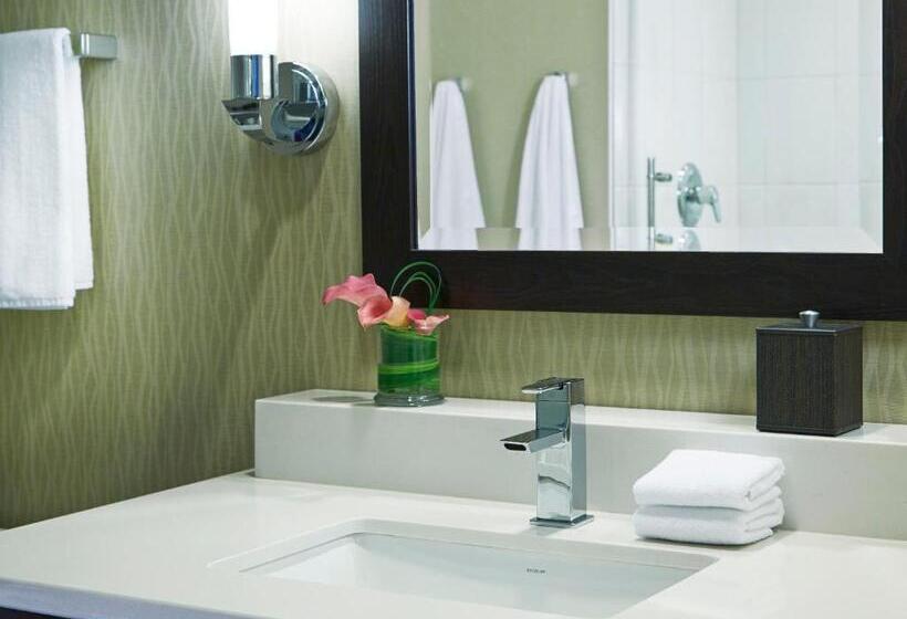 Номер Executive Кровать Кинг, Hyatt Regency Atlanta Perimeter At Villa Christina