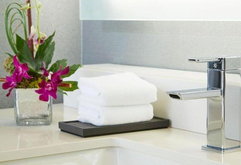 Президентский Люкс, Hyatt Regency Atlanta Perimeter At Villa Christina