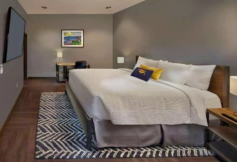 スタンダードルーム, Scholar Morgantown, Tapestry Collection By Hilton