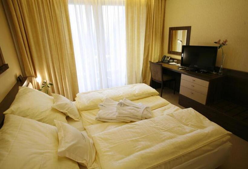 غرفة قياسية, Wellness Hotel Diplomat