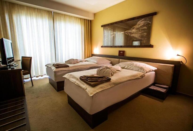 غرفة قياسية, Wellness Hotel Diplomat