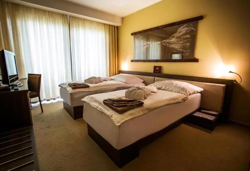Standard-huone, Wellness Hotel Diplomat