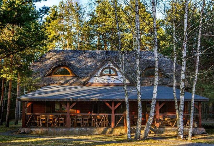 חדר סטנדרט חדר אמבטיה משותף, Maciejówka Borki 33