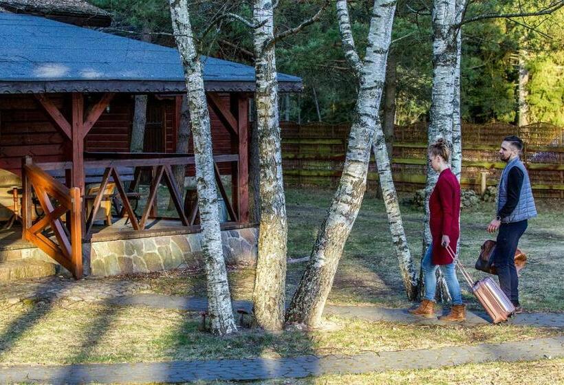 חדר סטנדרט לארבעה, Maciejówka Borki 33