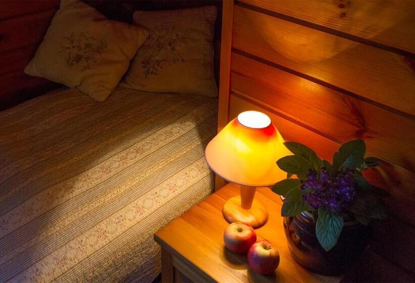 חדר סטנדרט לארבעה, Maciejówka Borki 33