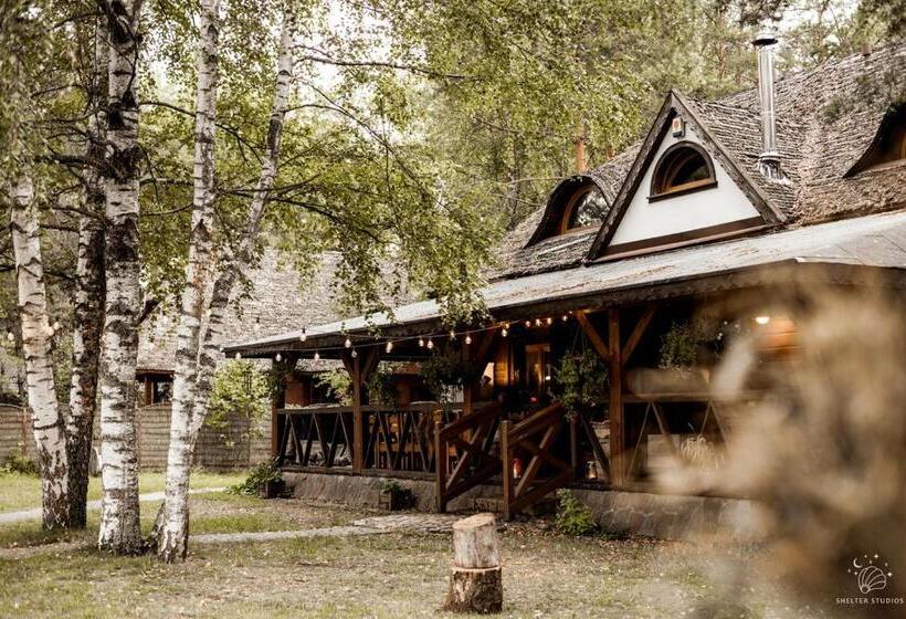 Четырехместный Номер Стандарт, Maciejówka Borki 33