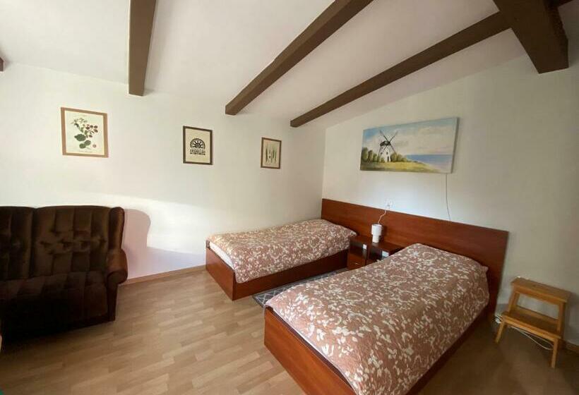 スタンダードルーム, Mlyn Wodny Eko Hillar