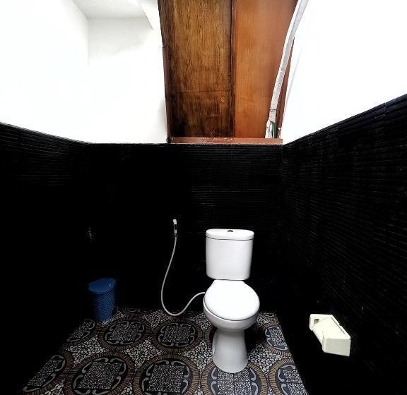 بانگلوی استاندارد, Follow The Rabbit Bungalow