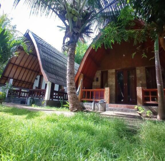 بانگلوی استاندارد, Follow The Rabbit Bungalow