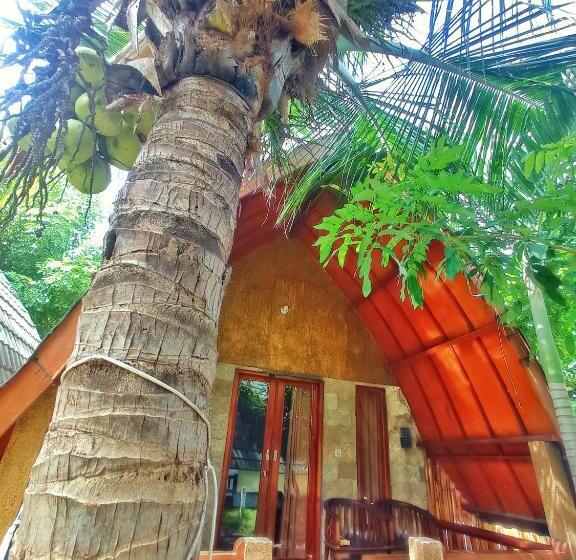 بانگلوی استاندارد, Follow The Rabbit Bungalow