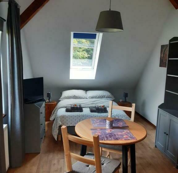 スタンダードルーム, Osada Boczki