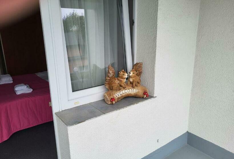 شقة غرفة نوم واحدة مزودة بشُرفة, Rezydencja Bielik