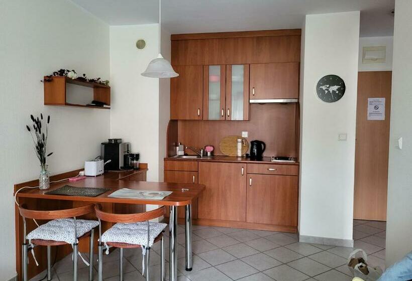 شقة غرفة نوم واحدة مزودة بشُرفة, Rezydencja Bielik