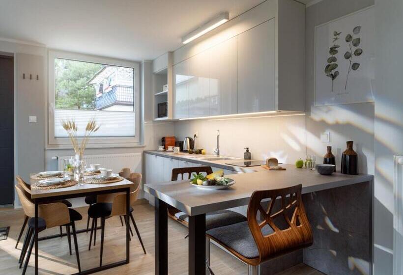 1階の1ベッドルームアパートメント, Vincent Apartamenty Darłówek