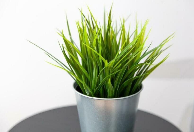 Номер Стандарт Совместная Ванная, Mainstation