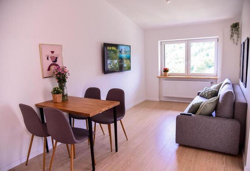 Апартаменты 1 Спальня, Apartamenty Turystyczna 25