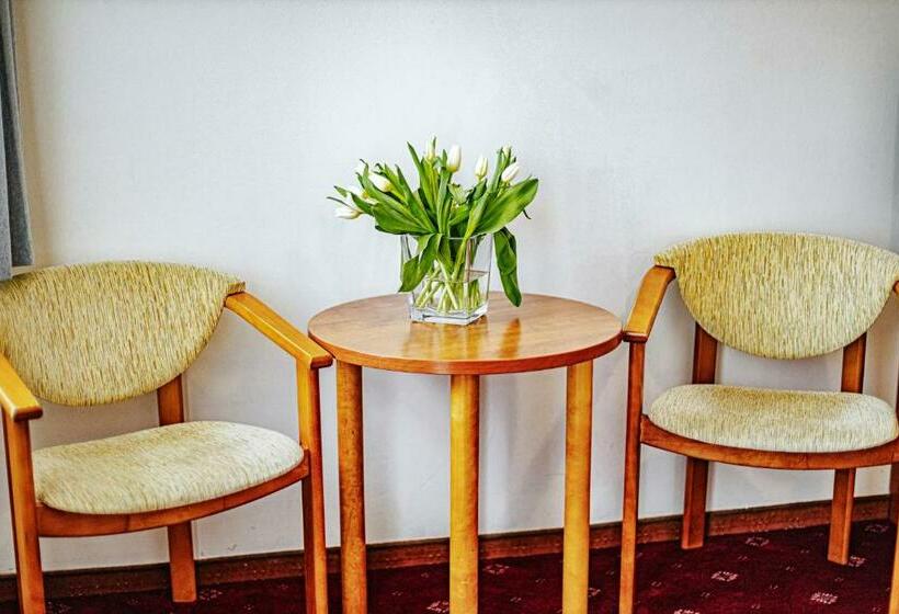 Номер Стандарт с Балконом, Panorama_spa