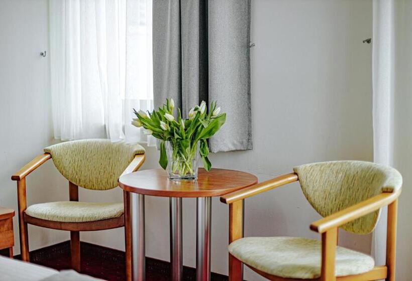 Номер Стандарт с Балконом, Panorama_spa