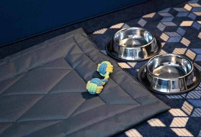 スタンダードルーム, Ilkus Hotel & Restaurant