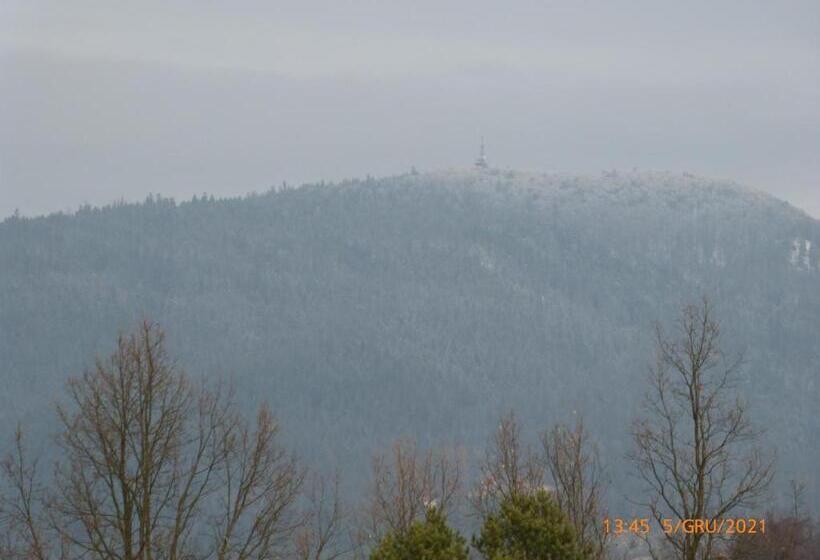 Номер Стандарт, Willa Roztoczanka