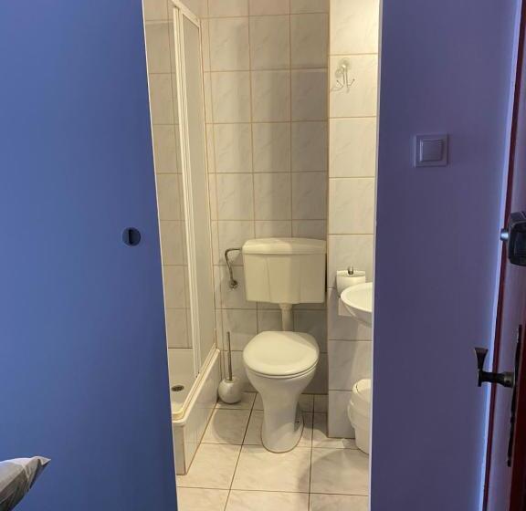 テラス付きスタンダードルーム, Willa świetlana