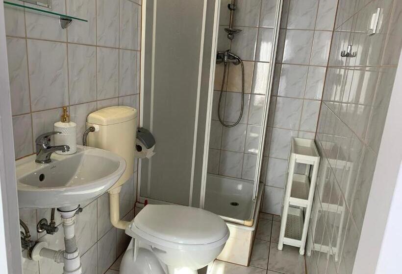 テラス付スタンダードルーム, Willa świetlana