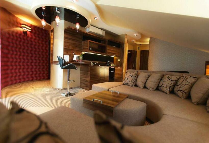 شقة بريميوم غرفة واحدة, Willa Pod Bramą