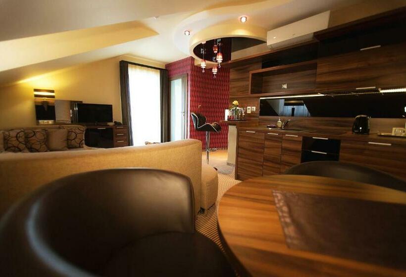 شقة بريميوم غرفة واحدة, Willa Pod Bramą