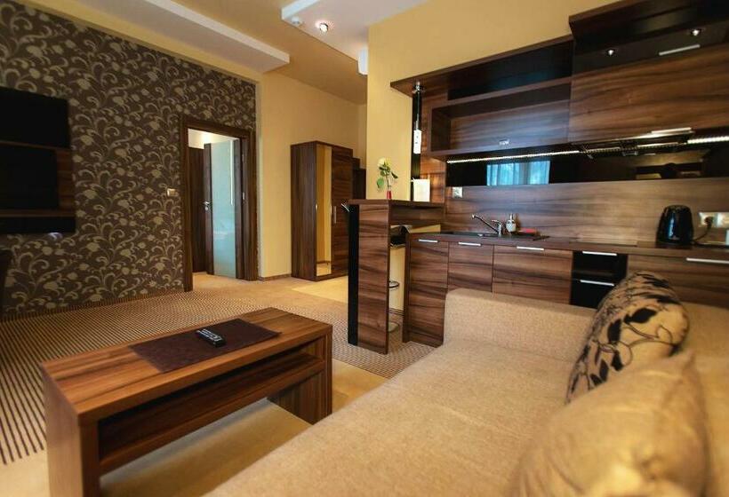 شقة ديلوكس غرفة واحدة, Willa Pod Bramą