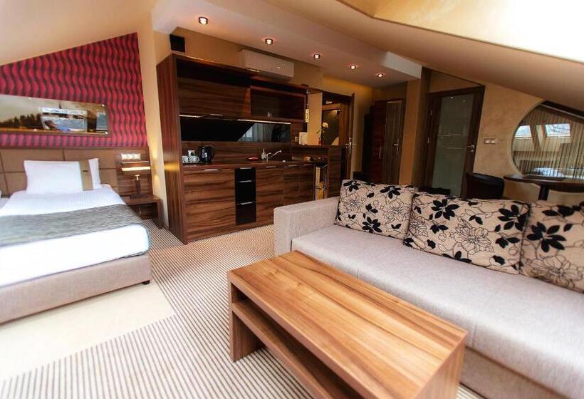 شقة غرفة واحدة, Willa Pod Bramą