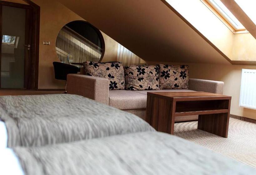 شقة غرفة واحدة, Willa Pod Bramą