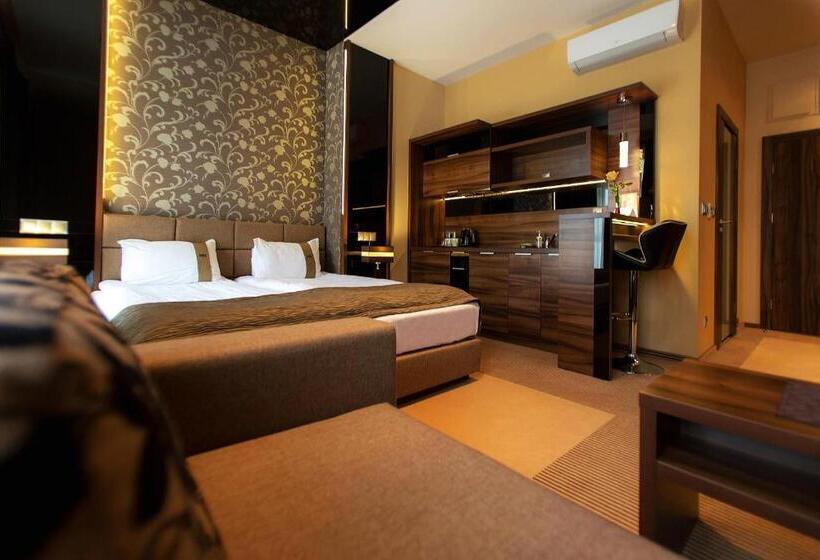 شقة غرفة واحدة, Willa Pod Bramą