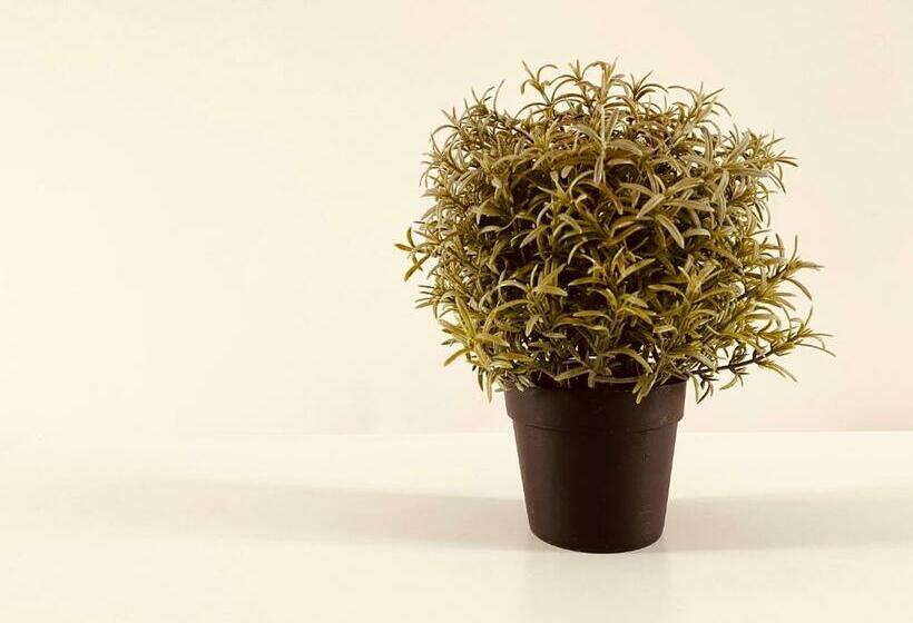 스탠다드 4인용 룸 공용 욕실, Pokoje Gajowa