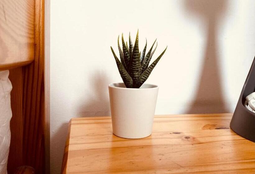 스탠다드 트리픔 룸 공동욕실, Pokoje Gajowa