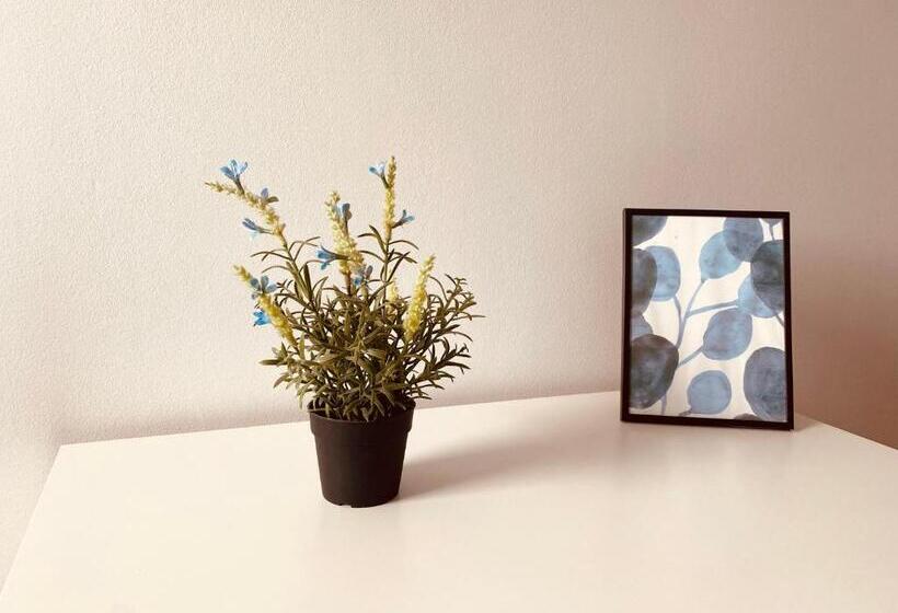 스탠다드 룸 공동 욕실, Pokoje Gajowa