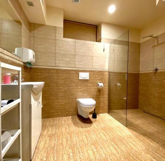 اتاق استاندارد یک تخته با سرویس بهداشتی مشترک, Pokoje Rezydencja Parysa