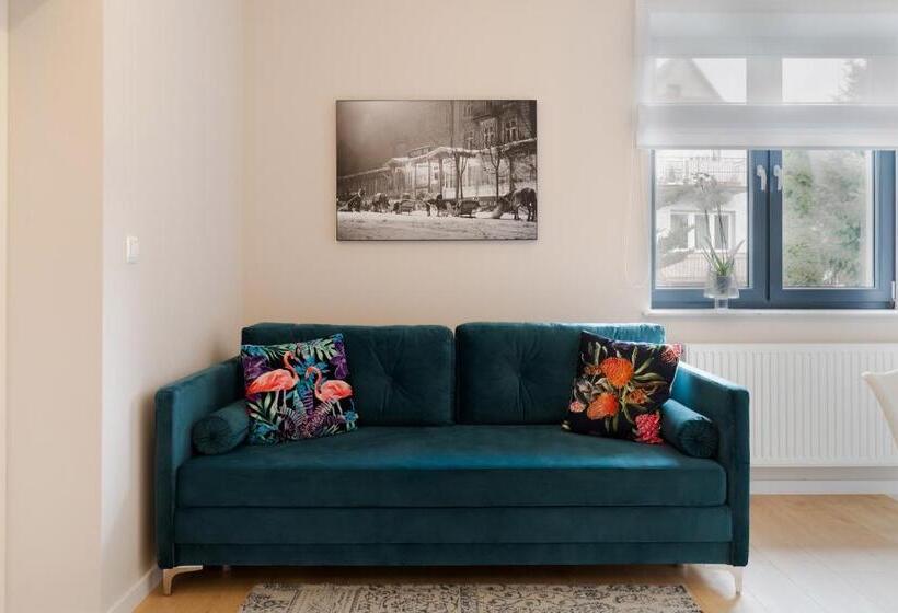 شقة غرفة واحدة, Altara Apartamenty Centrum Free Parking