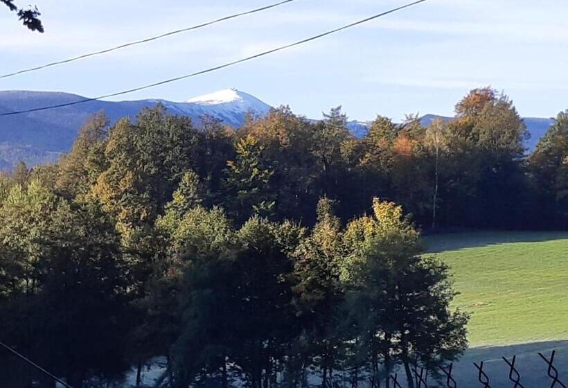 בית, חדר שינה 1, Leśniczówka Pod śnieżką