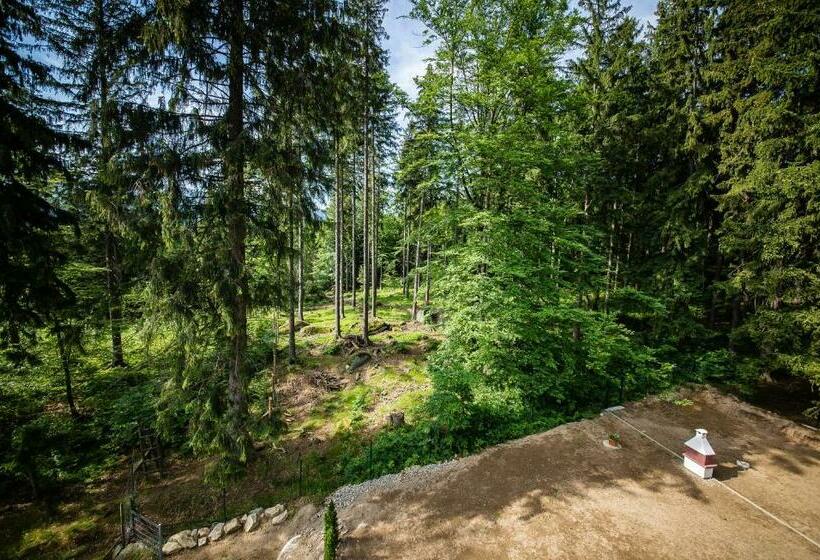 اتاق استاندارد با بالکن, Villa Obis