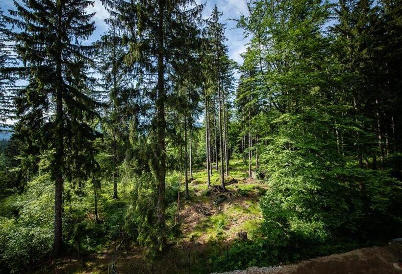 اتاق استاندارد, Villa Obis