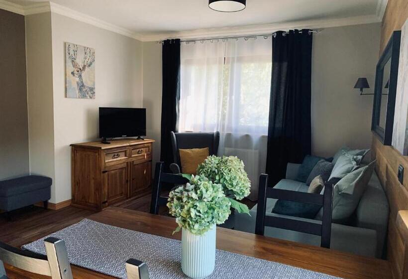 스탠다드 스튜디오, Willa Karkonoska