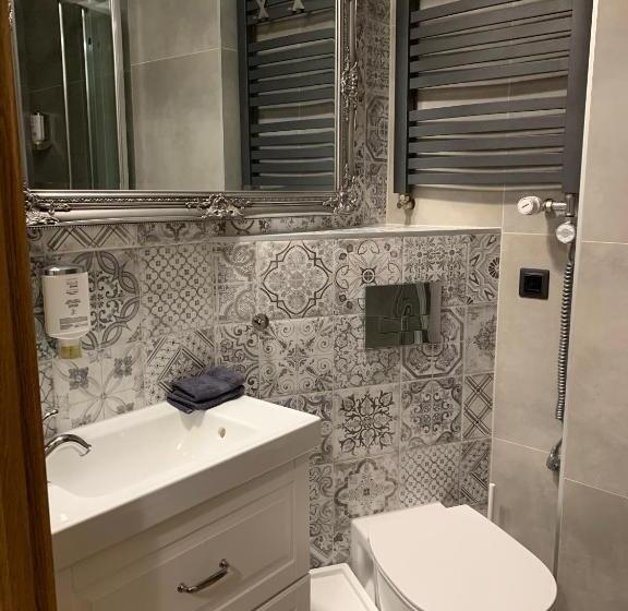 스탠다드 싱글 룸, Willa Karkonoska