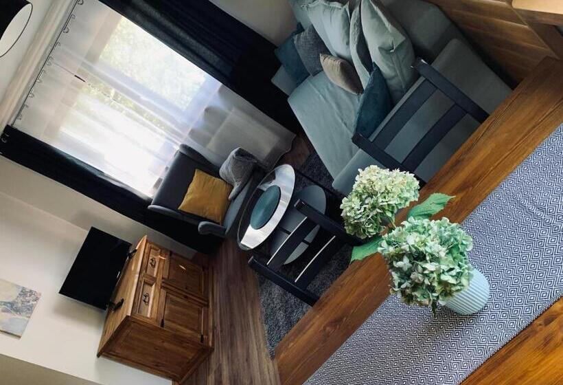 스탠다드 스튜디오, Willa Karkonoska