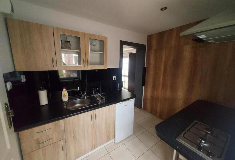 آپارتمان 1 خوابه همکف, Willa Rudnik