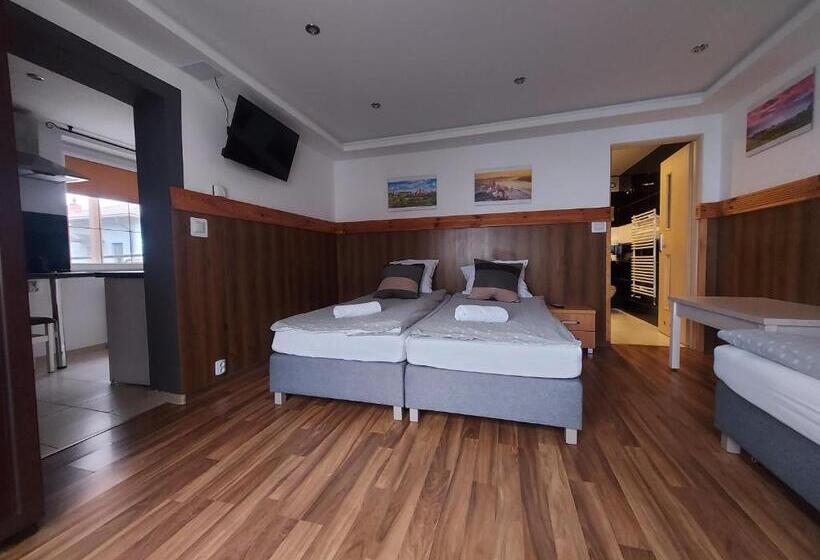 آپارتمان 1 خوابه همکف, Willa Rudnik