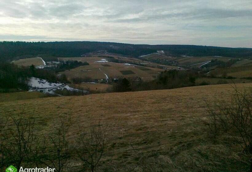 Вилла 1 Спальня, Ekoturystyka Natura Gwiazd   Green Velo   Workation Park   Ziołowy Klimat Bieszczad