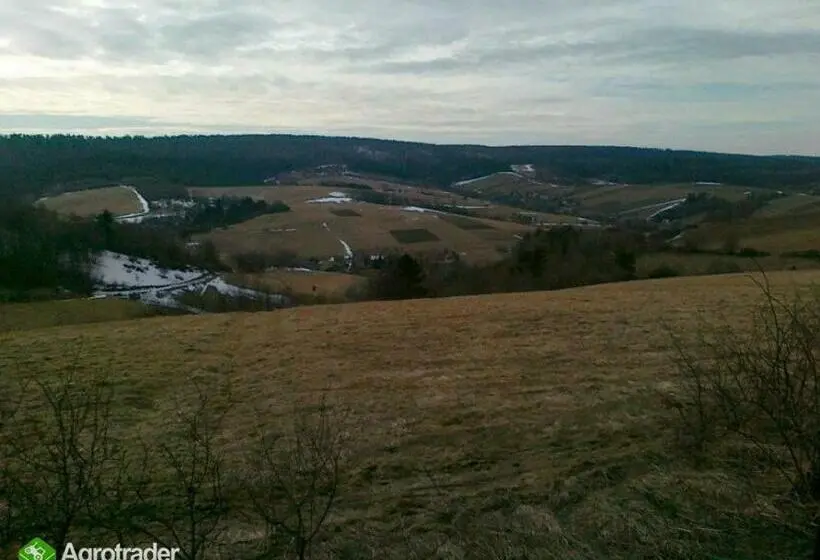 ビラホテル１ベッドルーム, Ekoturystyka Natura Gwiazd   Green Velo   Workation Park   Ziołowy Klimat Bieszczad