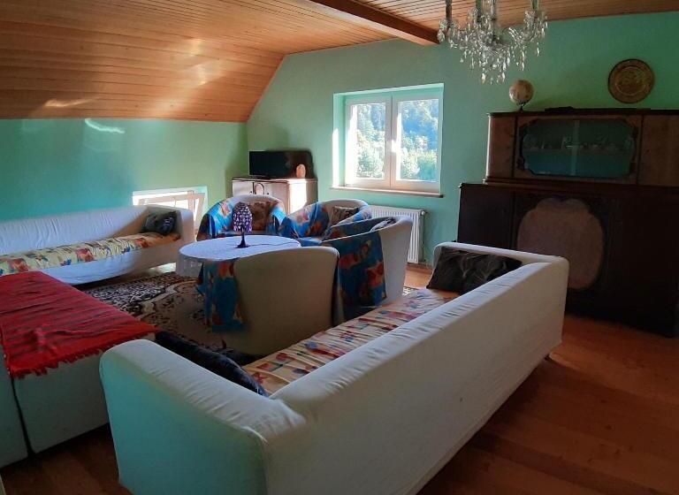 Студия Стандарт, Ekoturystyka Natura Gwiazd   Green Velo   Workation Park   Ziołowy Klimat Bieszczad